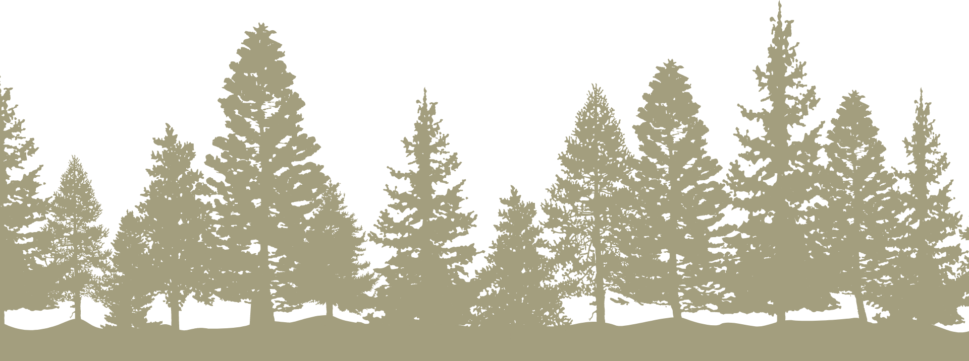 森のイラスト
